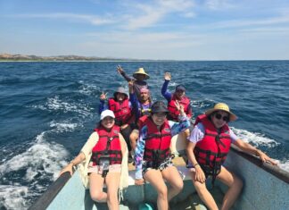 Ballenas despiden temporada en Michoacán con 93% de avistamientos