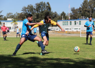 Deporte y trabajo en equipo: La clave para un mejor desempeño en la FGE