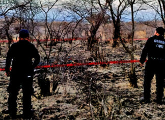 Hallan osamenta humana semienterrada en predio de Puruándiro, Michoacán