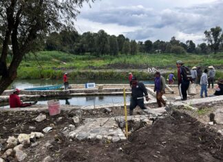 Gobierno estatal arranca empleos temporales para rescate del lago de Pátzcuaro