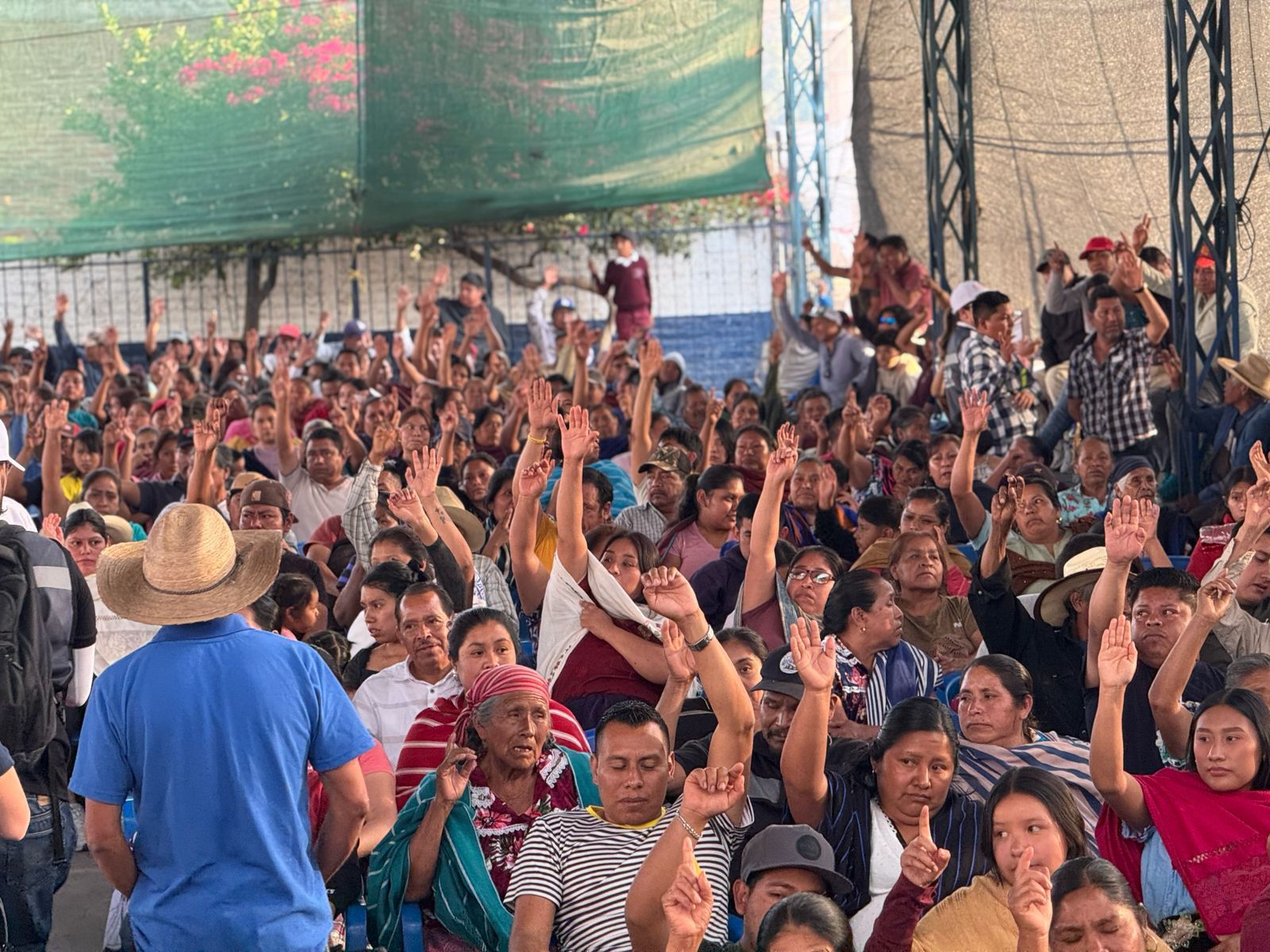 WhatsApp Image 2025-04-02 at 7.35.36 PM (1)