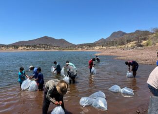 Respalda Compesca al sector acuícola en Tierra Caliente