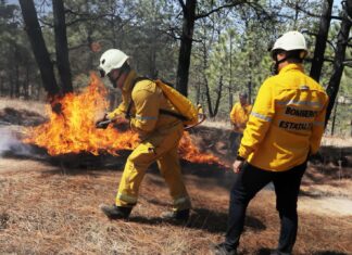 Controlado al 100 % el incendio forestal en Cojumatlán: Cofom