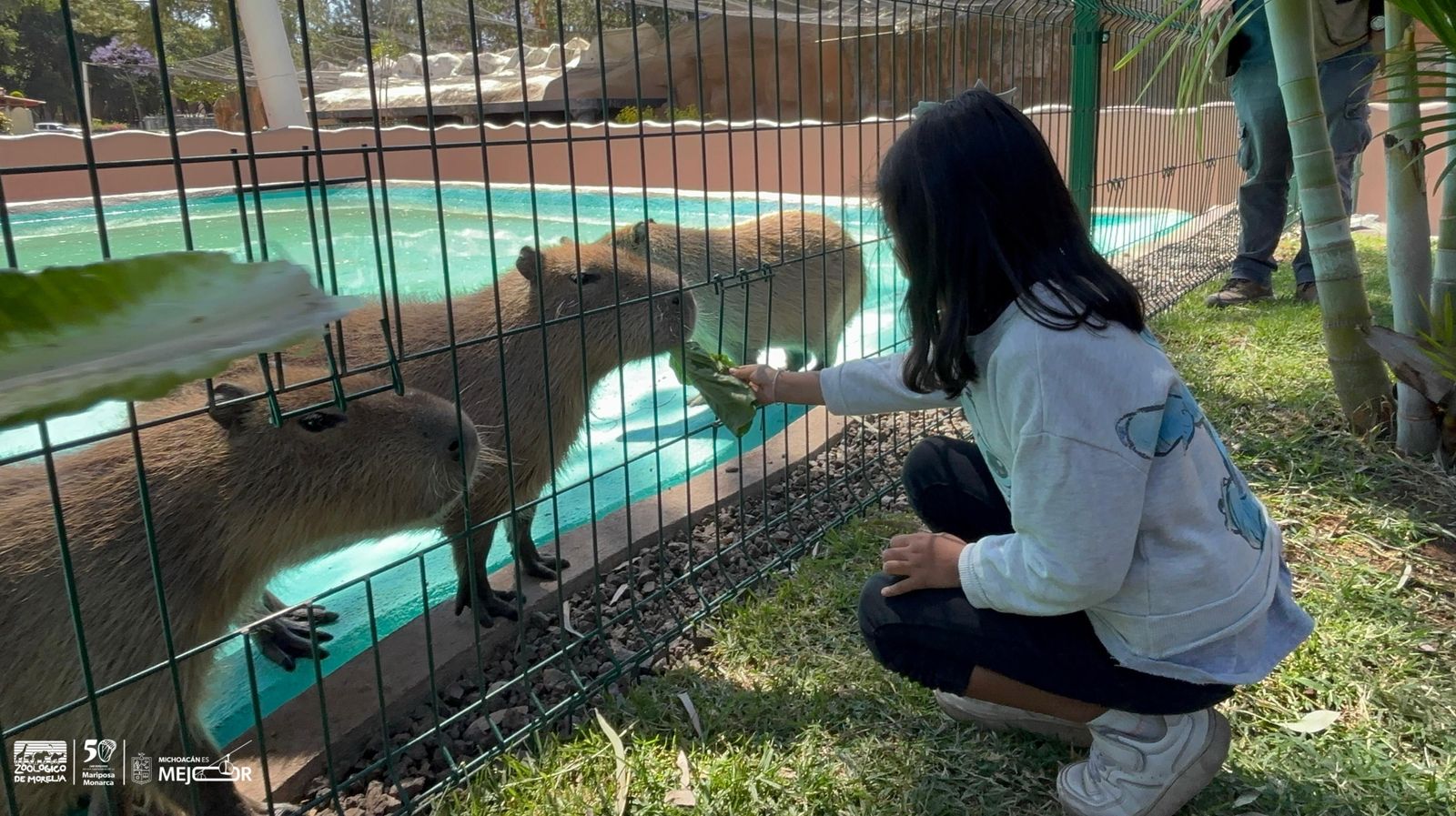 WhatsApp Image 2025-04-08 at 5.16.28 PM