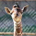 WhatsApp Image 2025-04-09 at 7.38.12 AM (1)