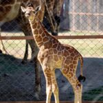 WhatsApp Image 2025-04-09 at 7.38.12 AM