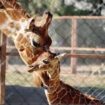 WhatsApp Image 2025-04-09 at 7.38.13 AM