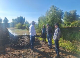 Inicia rehabilitación del lago de Pátzcuaro en San Jerónimo Purenchécuaro