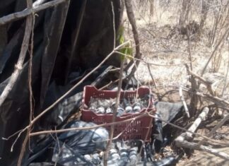 Asegurados 80 artefactos explosivos improvisados en Buenavista: SSP