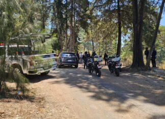 Uruapan: huye en zona boscosa tras enfrentar a ministeriales