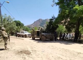 Desactivan cuatro minas terrestres en Chinicuila