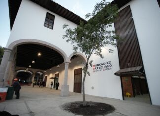 Mercado de Pátzcuaro florece con raíces nuevas: Gladyz Butanda