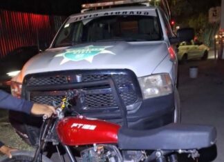 Recupera SSP en Morelia 6 vehículos con reporte de robo y alteraciones