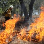 68863de9-083c-4862-b101-9b5d61066c0d