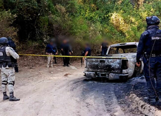 Descubren seis cuerpos ejecutados en Madero: tres calcinados y uno decapitado