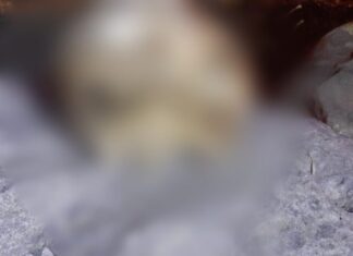 Hallan cráneo humano en la carretera Morelia–Atécuaro