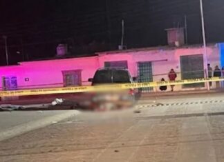 Masacre en Guanajuato: siete jóvenes asesinados en San Bartolo de Berrios; entre las víctimas, hijos de un delegado