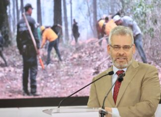 Incendio en Biósfera de la Monarca no afectó zona núcleo: Bedolla