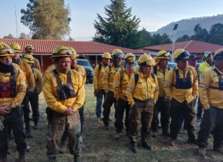 Brigadistas combaten incendios forestales activos en Michoacán: Cofom