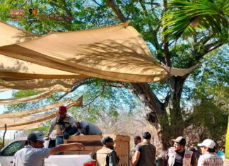 Resguarda Zoológico de Morelia ejemplares decomisados en Huetamo