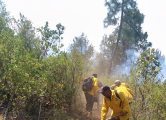 Liquidados 3 incendios en Aguililla, Lagunillas y Pátzcuaro: Cofom