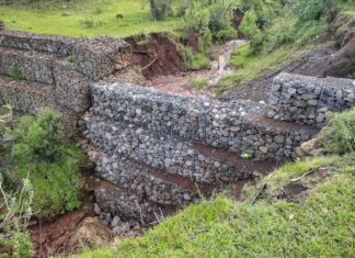 Agrosano refuerza conservación del lago de Pátzcuaro y sus manantiales: Sader