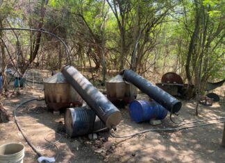 En operativo SSP y Defensa desmantelan laboratorio de drogas sintéticas en Parácuaro