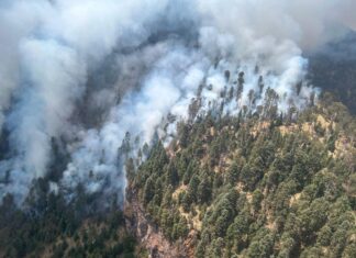 Por aire y tierra Gobierno de Michoacán combate incendio en el Pico de Tancítaro