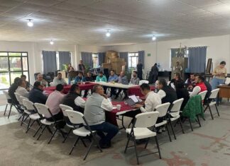 La tarifa del transporte público permanece en 11 pesos: ITransporte