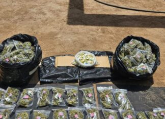 SSP y Defensa decomisan más de 600 envoltorios con droga en Buenavista