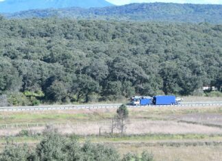 Polo del Bienestar de Morelia generará 27 mil empleos: Sedeco