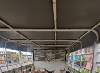 Asegurados 21 venados de procedencia ilícita; hay 3 detenidos: SSP