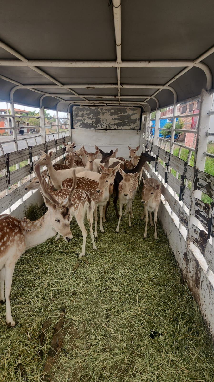 WhatsApp Image 2025-05-30 at 3.23.38 PM