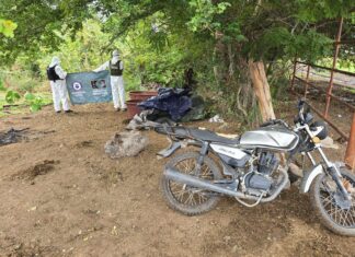 Asegurados 400 kg de metanfetamina en Buenavista: SSP