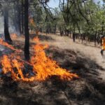 b7becad3-7eec-49ef-9ee4-b93ca287cfe7