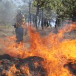 e34f794b-15ab-4c13-86aa-a9861a9d1dae