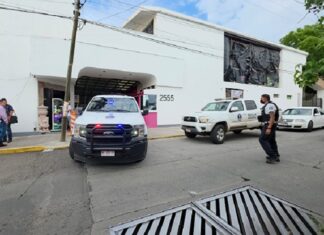 Investigaciones identifican a la madre como presunta responsable del asesinato de dos menores en Morelia : FGE
