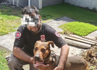 Balzac inicia su nueva vida gracias a la solidaridad de la Ruta Gris