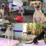 FotoJet-2025-06-13T114823.575