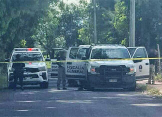 Hallan a mujer sin vida y con huellas de violencia en Tarímbaro, Michoacán