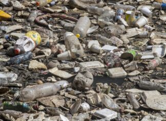 Día Mundial del Medio Ambiente 2025: Urge acción global contra la contaminación por plásticos