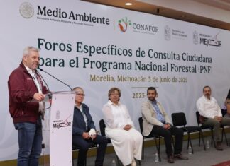 Ante reconocimiento, desde Michoacán se construye el Programa Nacional Forestal