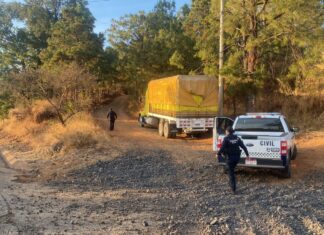 Recuperados 198 vehículos en Uruapan en 5 meses: SSP