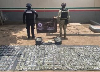 Más de 470 kg de droga asegurada en el mes de mayo: SSP