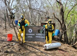 SSP y Defensa desmantelan laboratorio de drogas en Arteaga