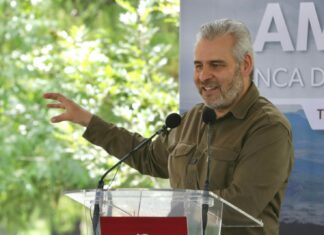 Con Guardián Forestal sumarán mil denuncias por deforestación este año: Bedolla