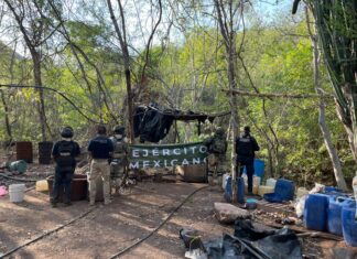 Aseguran laboratorio para la elaboración de metanfetamina en Huetamo: SSP