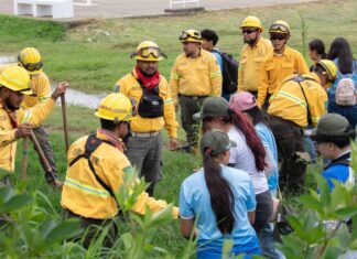 Arranca Bedolla reforestación 2025; despliega ejército verde para plantar 10 millones de árboles