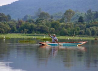Recuperadas en un año 334 hectáreas de superficie del lago de Pátzcuaro: Bedolla