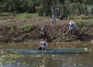 Avanza recuperación del canal de Erongarícuaro con trabajo de manos michoacanas